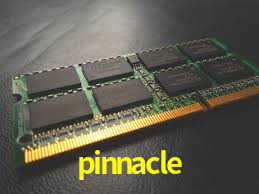 Live Casino pinnacle